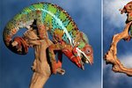 Chameleon si obstarává potravu pomocí svého mrštného jazýčku.