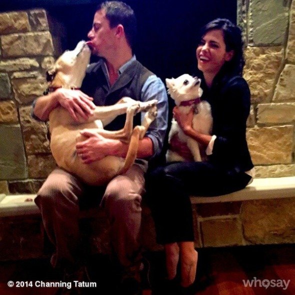 Channing Tatum s manželkou Jennou vlastní dva psy.