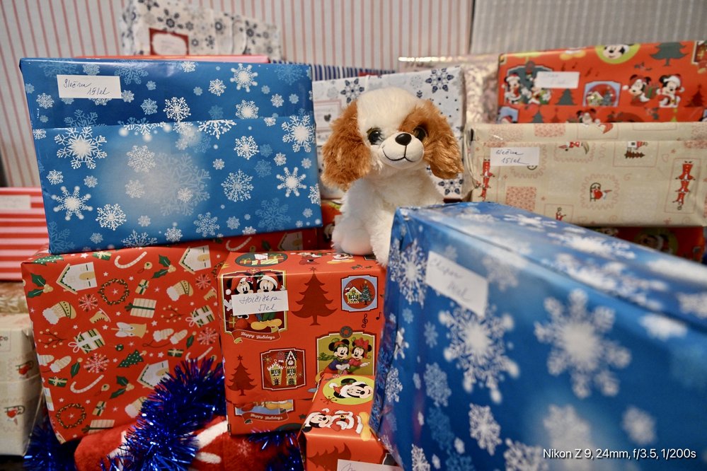 Dobročinné Vánoce: I v krizi Češi poslali desítky tisíc dárků potřebným
