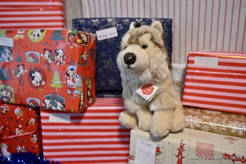 Dobročinné Vánoce: I v krizi Češi poslali desítky tisíc dárků potřebným