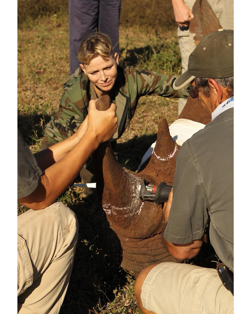 Monacká kněžna Charlene se vydala s vyholenou hlavou do Afriky zachraňovat nosorožce.