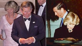 Na veřejnost unikl doslovný přepis 25 let starého erotikou nabitého telefonátu mezi princem Charlesem a vévodkyní Camillou.