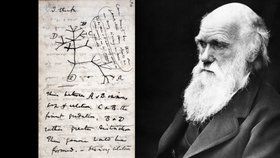 Britská Cambridgeská univerzita ohlásila, že z její knihovny zmizely dva cenné deníky vědce Charlese Darwina (24.11.2020)