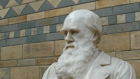 Britský přírodovědec Charles Darwin.