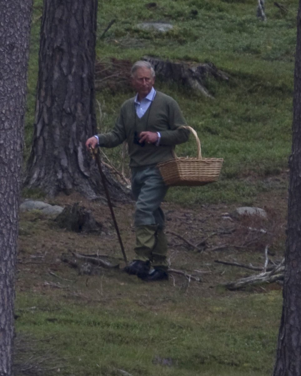 Princ Charles na houbařském »lovu«.