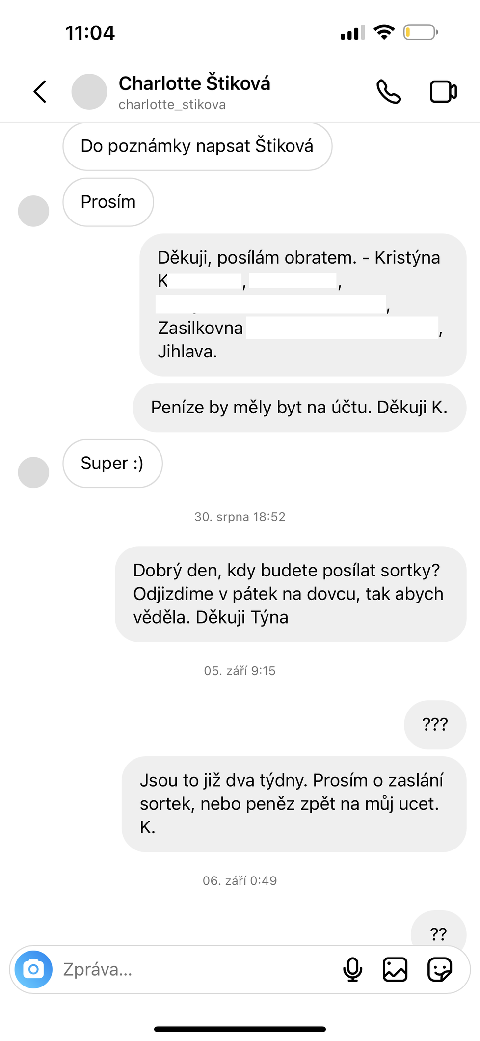 Charlotte Štiková se měla dopustit podvodu.