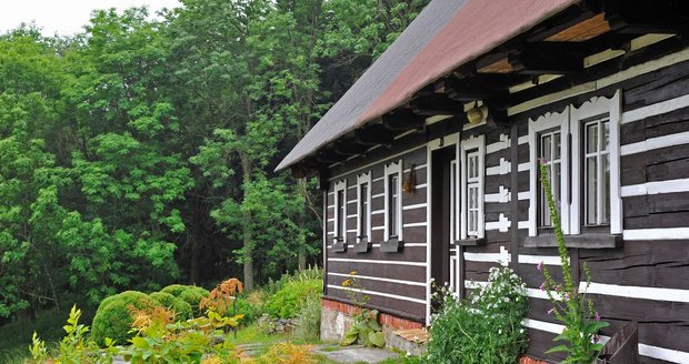 Vlhkostí bývají nejvíc zasaženy podzemní části domu - základy, suterén a sokl