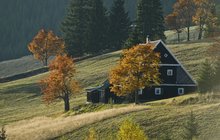 Manžele (†58, †59) a psa našli mrtvé! Zabili se sami?