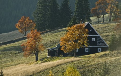 Děsivá vražda a sebevražda se stala v malebné roubence. 