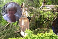 Důchodkyně bojuje s manželkou exposlance Lukši: Na dům jí spadly její stromy!