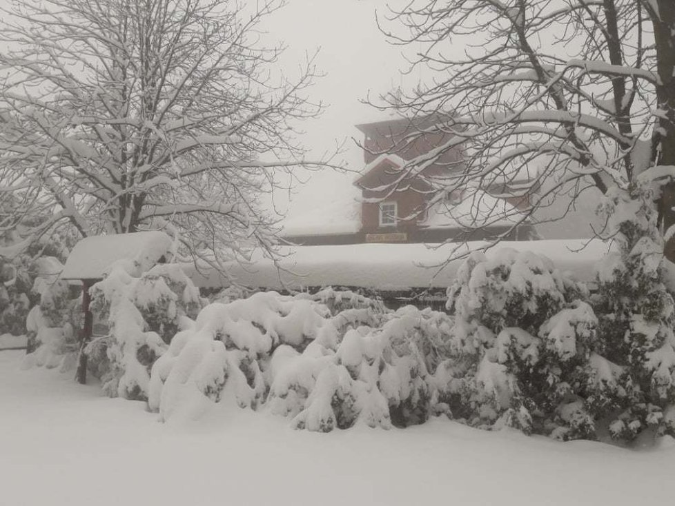 Zima na hoře Prašivá v Beskydech je skutečně bílá a dlouhá.