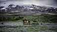 horská chata na Islandu