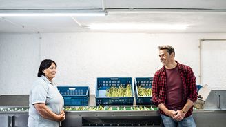 Komunisté ho zakázali jako buržoazní přežitek. Dnes moravské zelené zlato denně míří do osmi špičkových podniků Komunisté ho zakázali jako buržoazní přežitek. Dnes moravské zelené zlato denně míří do osmi špičkových podniků