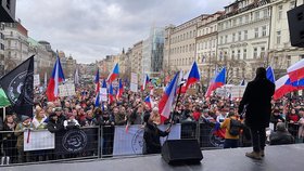 Demonstrace na Václavském náměstí Chcípl PES proti povinnému očkování.