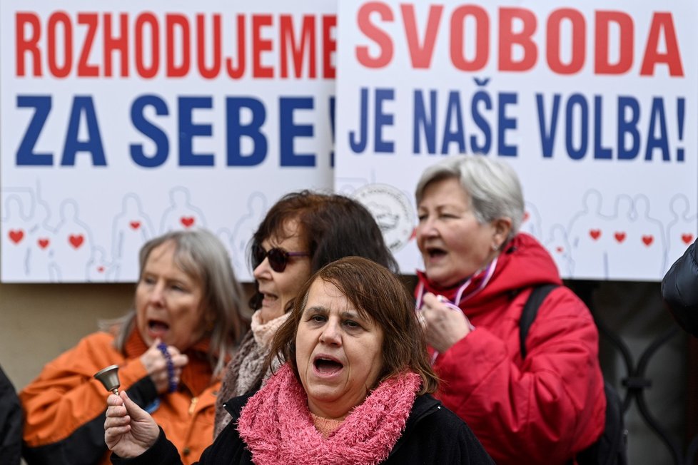 Demonstrace iniciativy Chcípl PES proti novele pandemického zákona na Malostranském náměstí v Praze (15. 2. 2022)