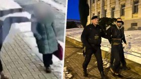 Brutální napadení seniorky v Chebu: Slovenský agresor přišel z Německa a hned útočil! Skončil ve vazbě