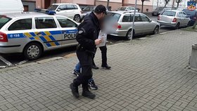 Policisté obvinili muže, který měl dva roky týrat svou přítelkyni.