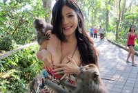 Krásnou Taiwanku na dovolené vysvlékli makaci
