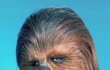 Peter Mayhew (†74) jako Chewbacca.