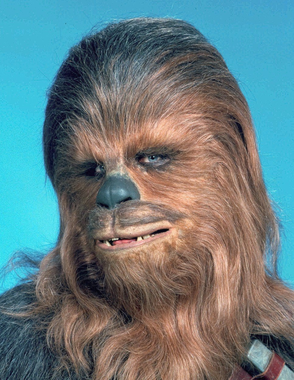 Peter Mayhew (†74) jako Chewbacca.