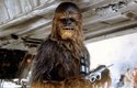 Chewbacca