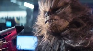 Chlupáč Chewbacca potřebuje pořádný fén