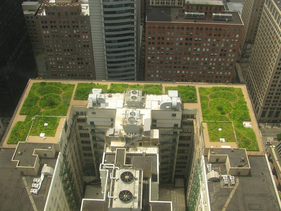 Střechu radnice Chicaga nepokrývá asfalt, nýbrž trávník.
