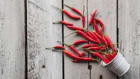 Chilli papričky: Jak je snadno vypěstovat i v panelákovém bytě