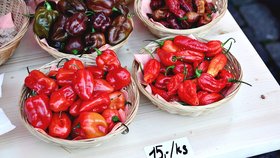 Takto vypadal Chilli festival v roce 2017.