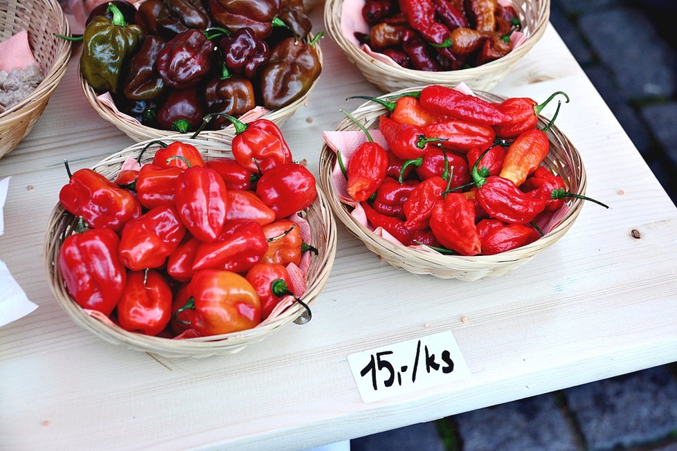 Chilli festival měl velký úspěch. Hudební show návštěvníky bavila