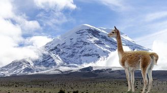 Vědci zjistili, že růst pohoří je pro vznik nových druhů důležitější než teplota 