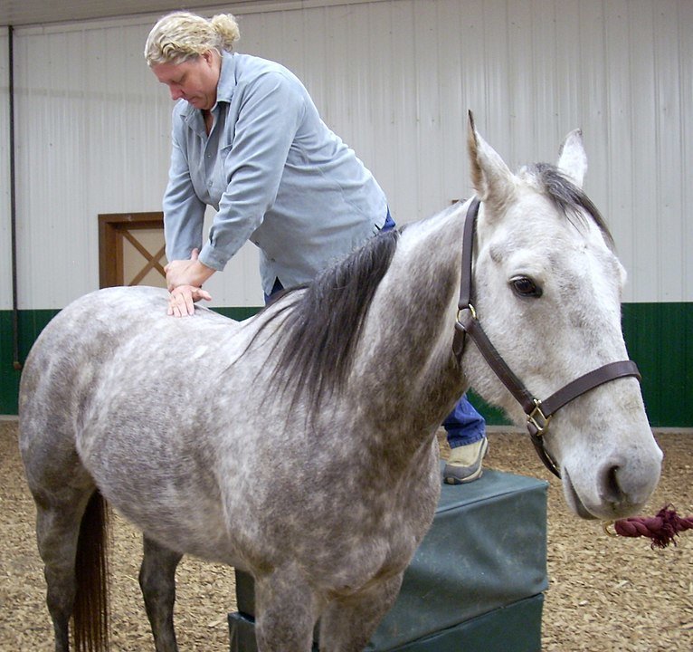 Zvířecí chiropraktička Heidi Bockholdová.