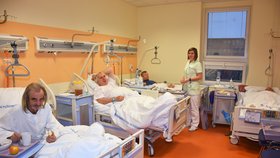 Nemocnice zakázali návštěvy (ilustrační foto)