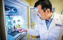 iná skupina singapurských vědců se zabývá extrakcí chitinu ze skořápek krevet a výrobou chitinových potravinářských fólií