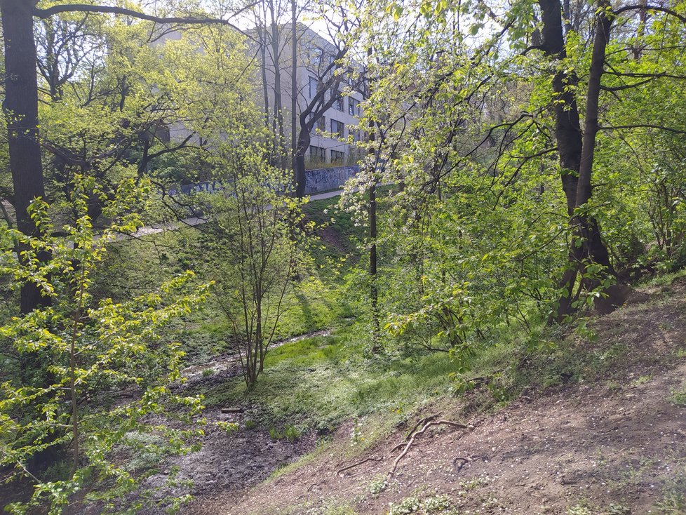 Sanatorium i vila Leopolda Kramera stojí nedaleko půvabného parku Willyho Brandta.