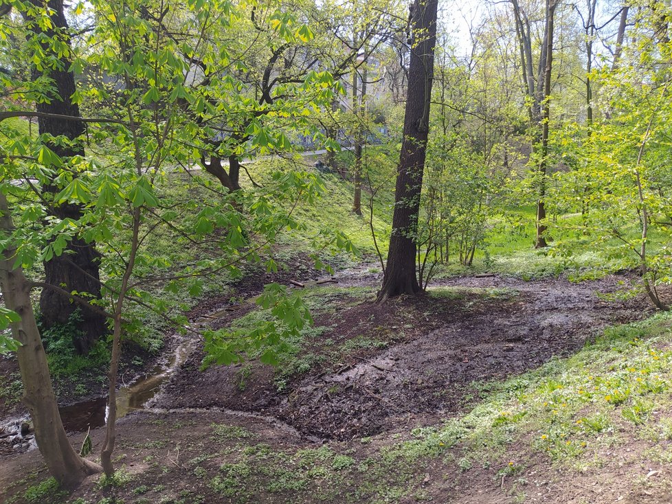 Jeden z nejmalebnějších parků v Praze - park Willyho Brandta - protíná Chittussiho ulice.