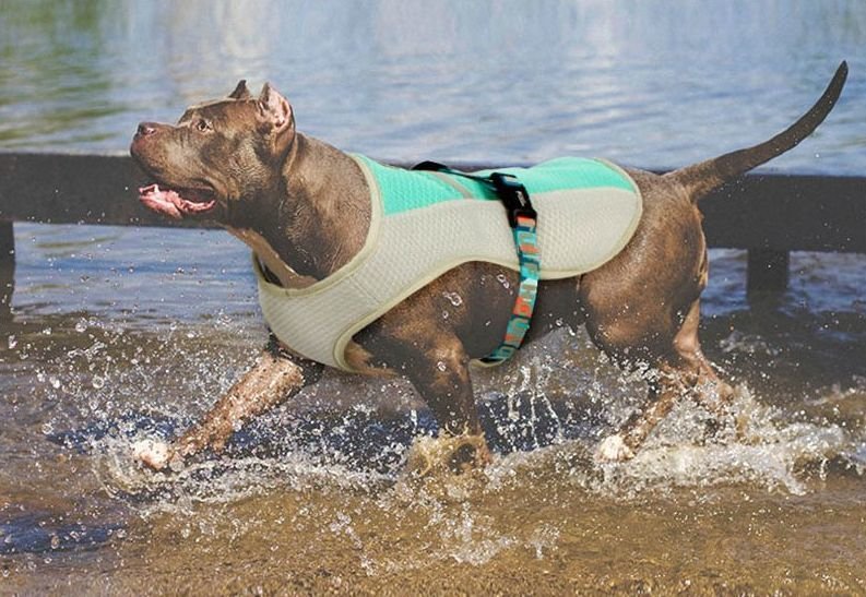 Chladicí vesta pro psy s reflexními prvky