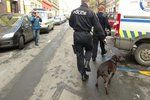 Na Královéhradecku usmrtil pes malého chlapce. Jde o další tragédii po incidentu na Žižkově v roce 2012. (na snímku)