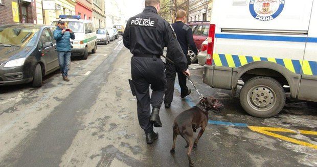Tragická smrt dítěte na Hradecku: Pětiletého chlapce napadl pes