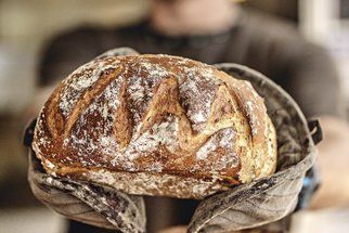 Domácí kvásek na chleba chce trpělivost a péči: Jak ho založit a jak se o něj starat?