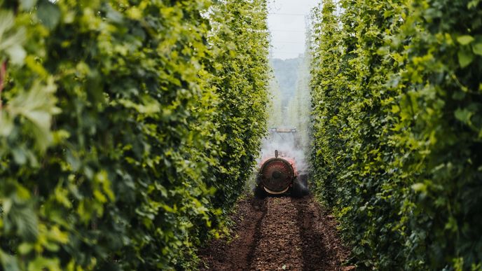 Agrofert koupil předního pěstitele chmele, skupinu Top Hop