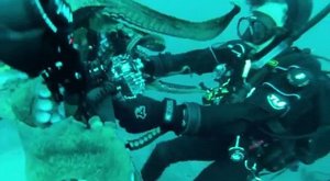 Potápěč versus obří chobotnice, která se prostě NECHCE fotit!!!