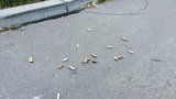 Nedopalky cigaret, lahve, pneumatiky v křoví: V Praze 14 uklidili dobrovolníci skoro dvě tuny odpadků