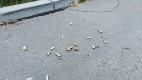 Z ulic Prahy 14 v rámci akce Chceme tu mít čisto zmizelo nepřeberné množství pohozených nedopalků cigaret (ilustrační foto).