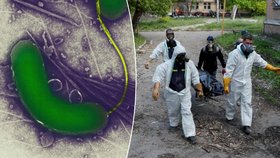 V Mariupolu se šíří cholera a úplavice