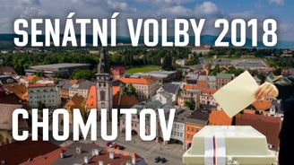 Senátní volby: Rudý obvod Chomutov může mít senátorku z ANO. Kandiduje i romský duchovní učitel žijící v Británii