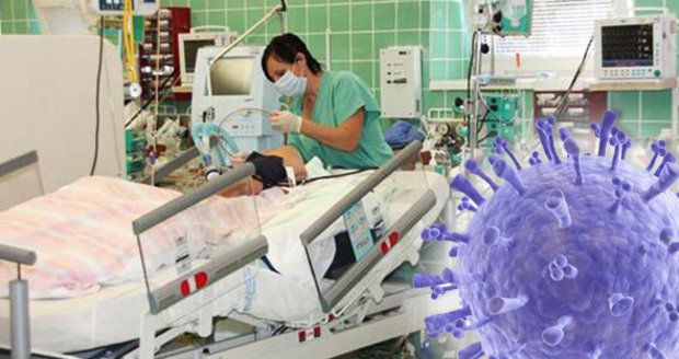 Prasečí chřipka zabíjela: V Chomutově zemřela žena po selhání organismu