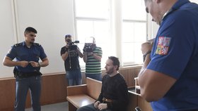 Střelec z Chomutova půjde za vraždu na deset let do vězení.