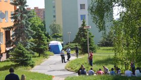 V sobotu nadránem došlo na sídlišti Písečná v Chomutově k vraždě.