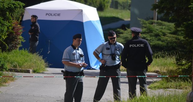 Střelba na sídlišti v Chomutově! Jeden ze sousedů je mrtvý, druhý v rukou policie